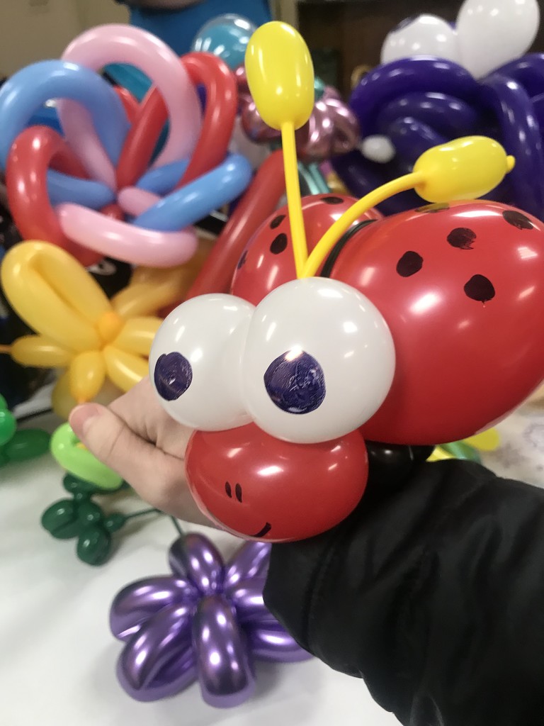 Shriner Balloon Jam  by annymalla