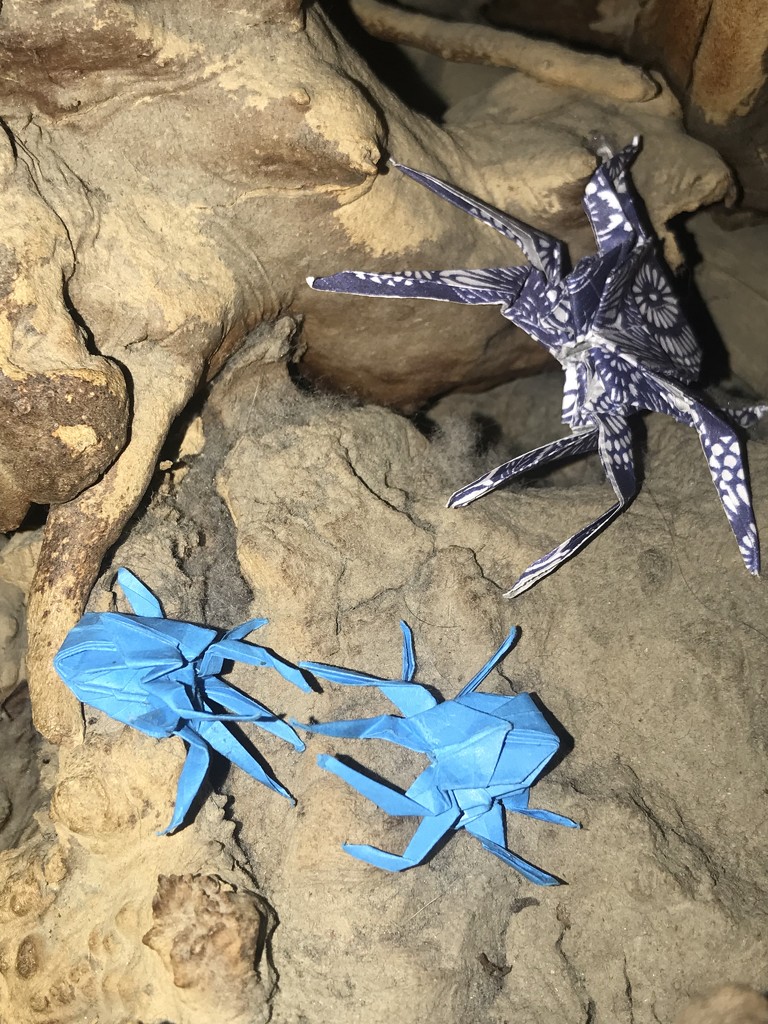 Spiders: Origami by jnadonza