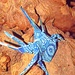 Spider: Origami by jnadonza