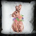 Bunny by essiesue