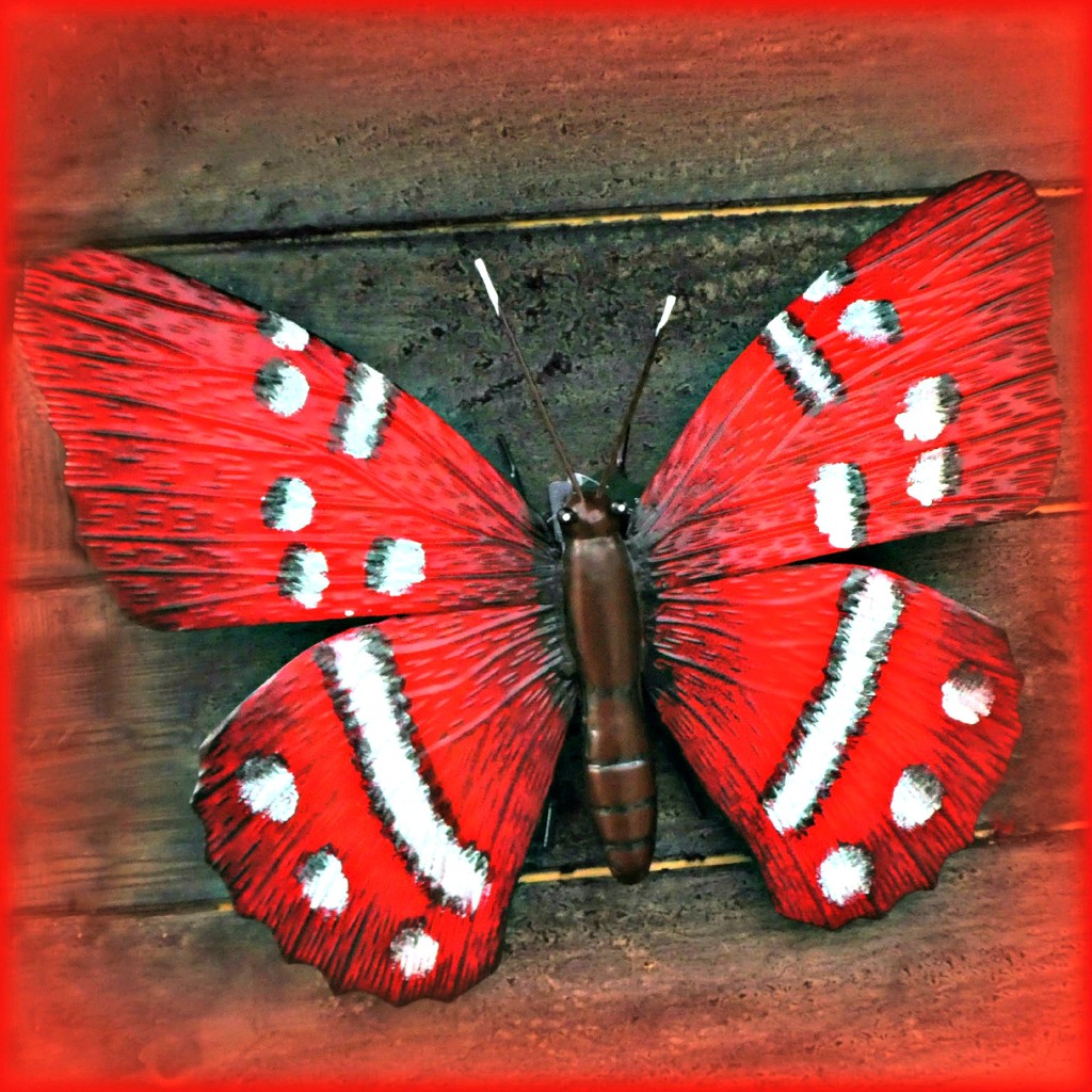  Monday Butterfly.  by wendyfrost