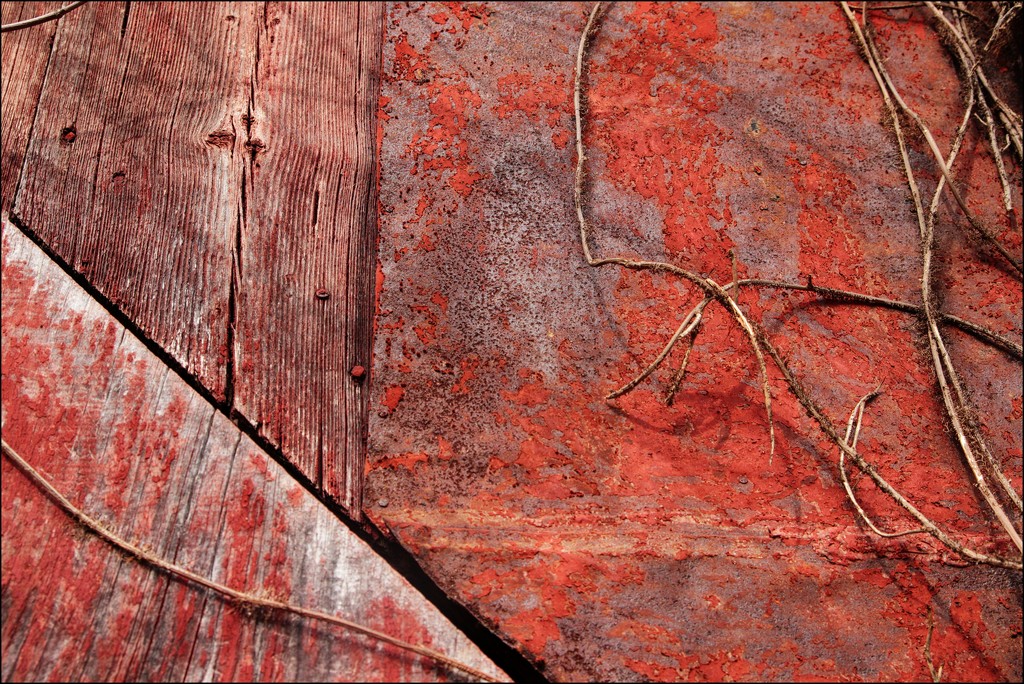 Rust, Vines and Faded Wood by olivetreeann