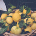 Lemon  by brigette