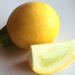 Lemony little squash by lmsa