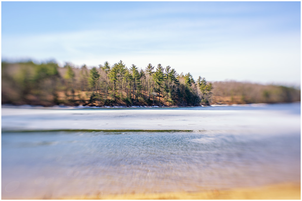 Beautiful day in early Spring at Walden Pond by jernst1779
