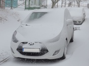 3rd Feb 2019 - Car designed by wind and snow