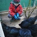 Feeding his hens by ivanc