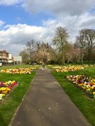26th Mar 2019 - Flowers In The Park