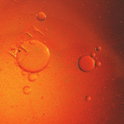 26th Mar 2019 - orange bubbles