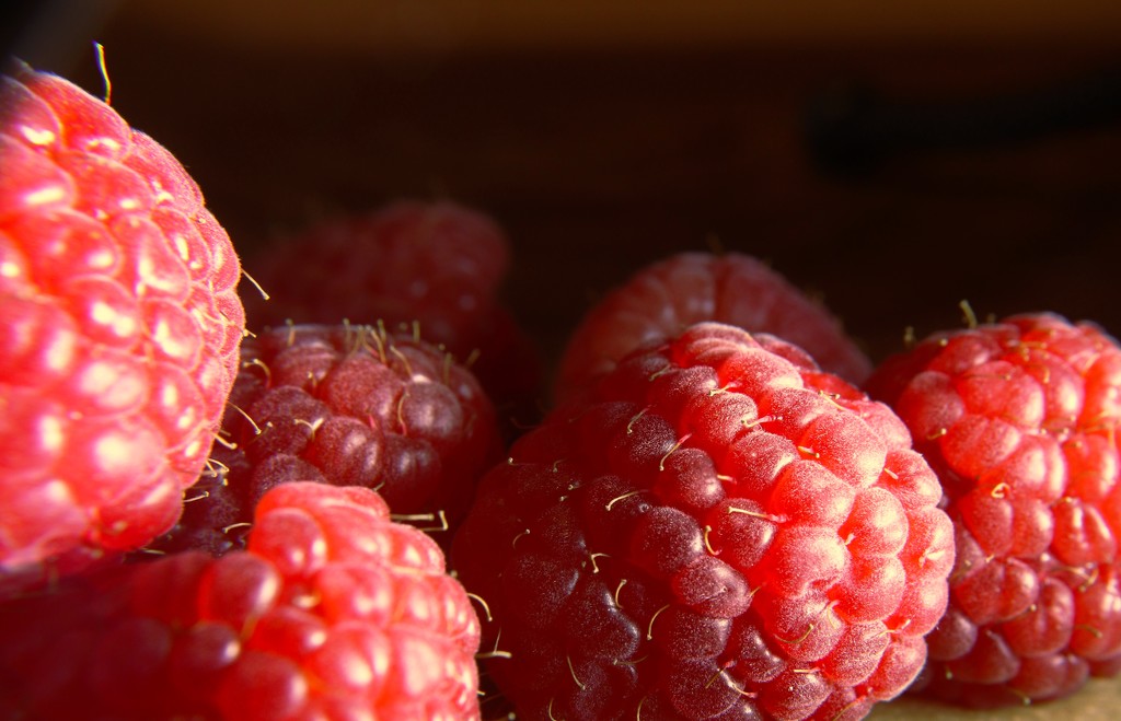 Day 85:  Raspberries by sheilalorson