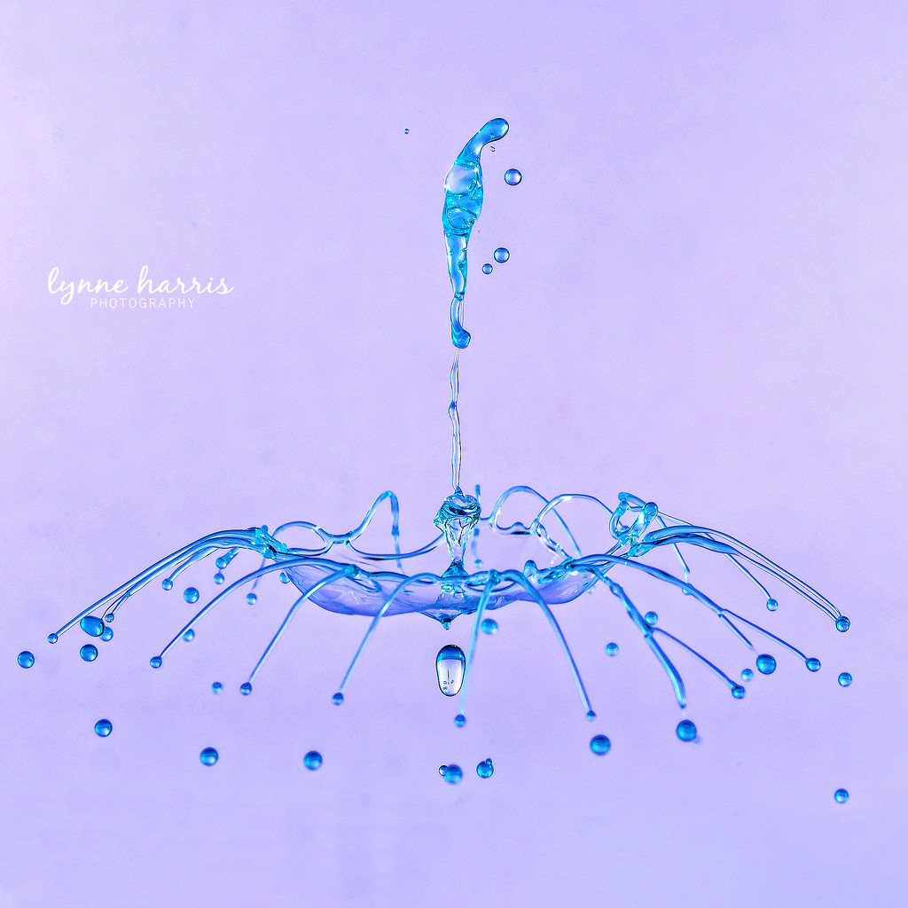 Water Drop Chandelier by lynne5477
