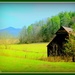 Old Barn In The Cove by vernabeth