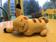 27th Mar 2019 - Sleeping pikachu