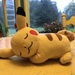 Sleeping pikachu by pandorasecho
