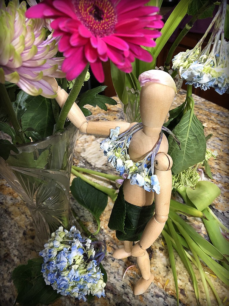 Woody grows a tropical garden by homeschoolmom