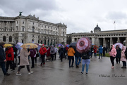 20th Mar 2019 - rainy day in Vienna