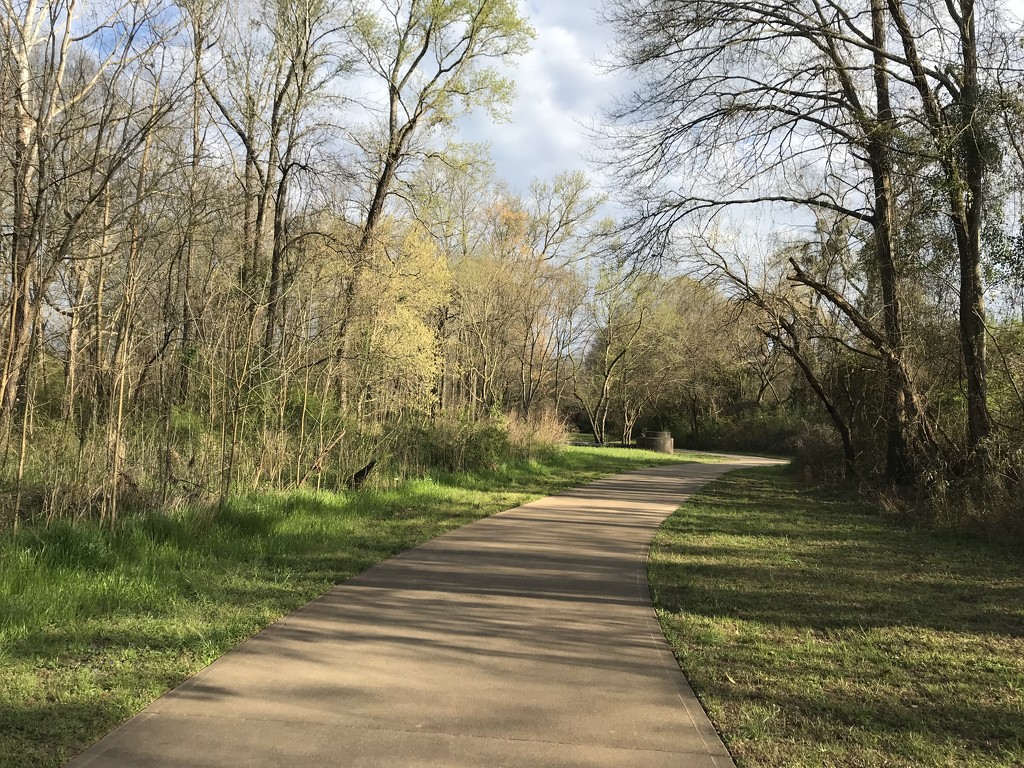 Spring trail by gratitudeyear