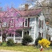 Spring in the historic district by homeschoolmom