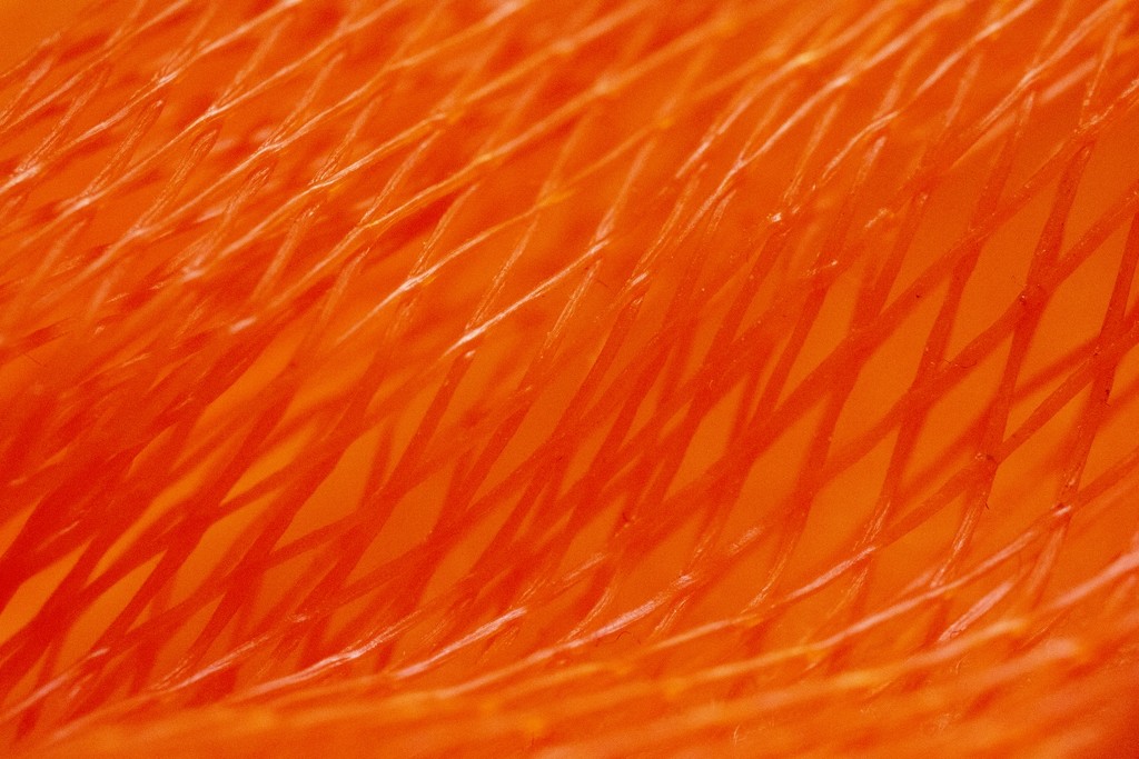 Orange Abstract by bizziebeeme