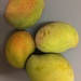 Mangoes! by narayani