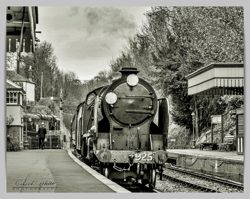Arrival,Alresford Station,Hampshire by carolmw