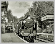 28th Mar 2019 - Arrival,Alresford Station,Hampshire