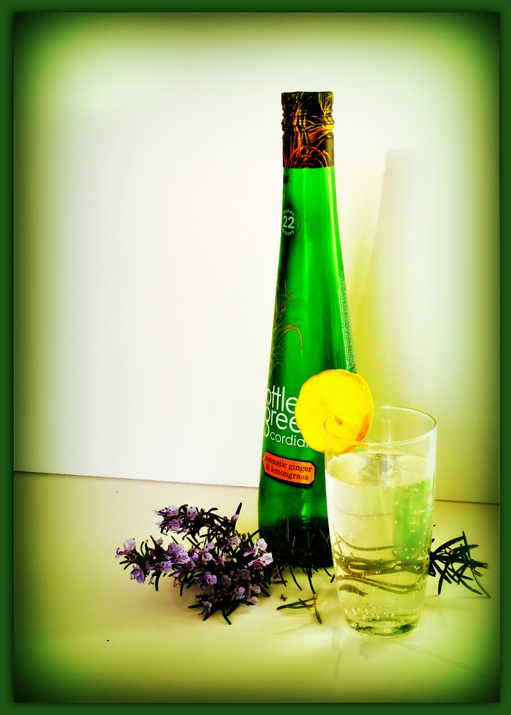 One green bottle ......... by beryl