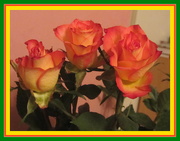 28th Mar 2019 - Three roses.
