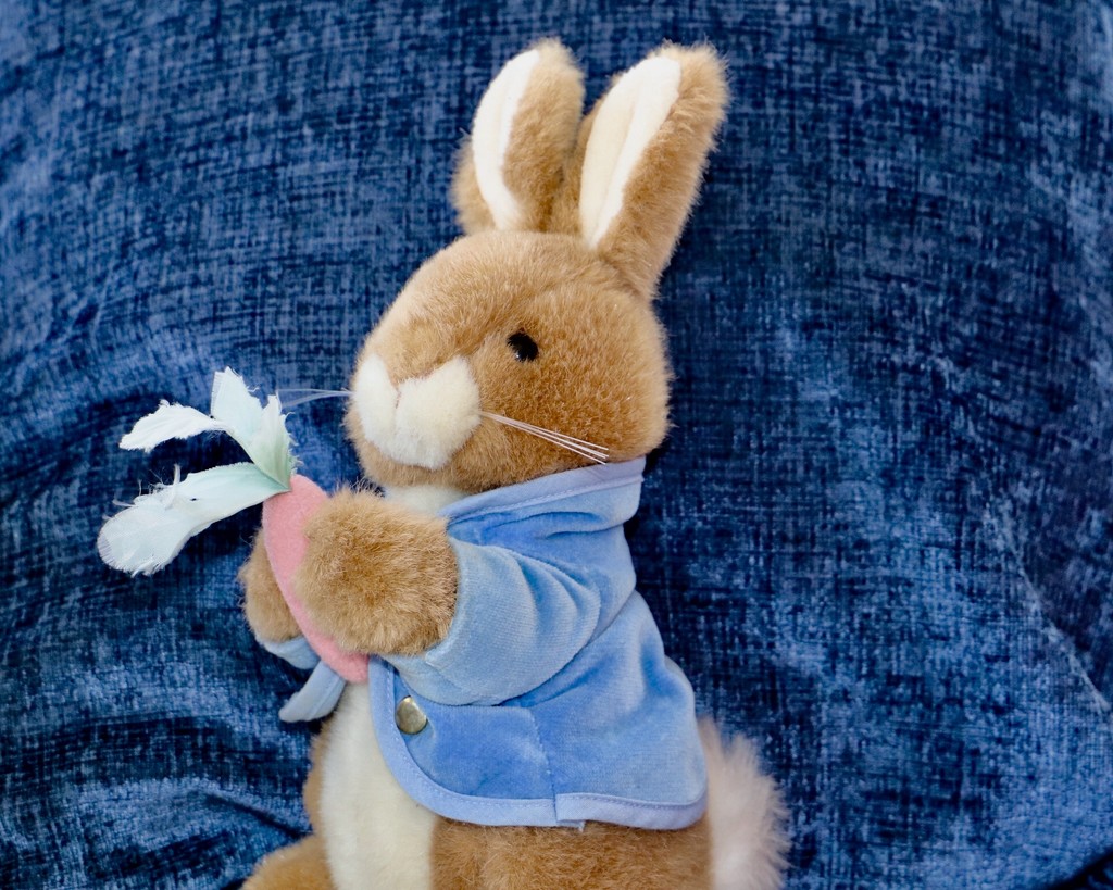 Peter Rabbit  by carole_sandford