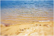 29th Mar 2019 - sand, water, sunshine, blur
