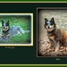 My Blue Healer Has Changed Colors by vernabeth
