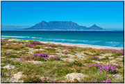 30th Mar 2019 - Blouberg in Spring