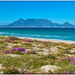 Blouberg in Spring by ludwigsdiana
