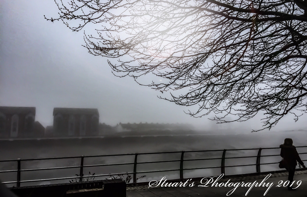 A walk in the mist by stuart46