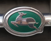 26th Mar 2019 - Car Badge