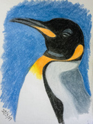 29th Mar 2019 - Penguin