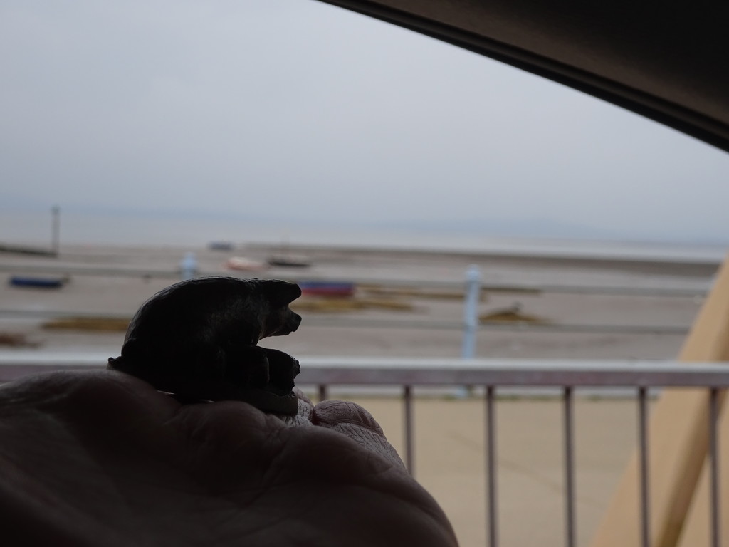 pig goes to Morecambe by anniesue