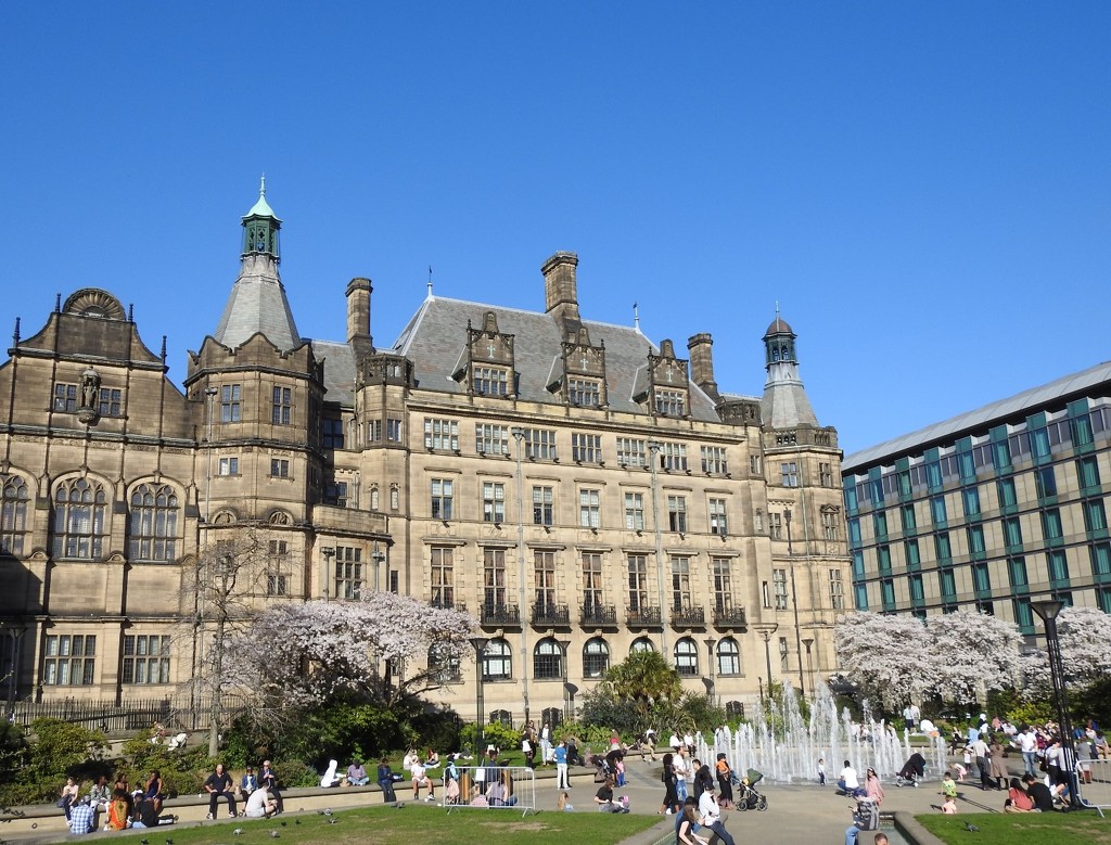 A sunny afternoon in Sheffield by roachling