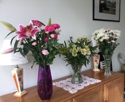 31st Mar 2019 - Flowers from Sons