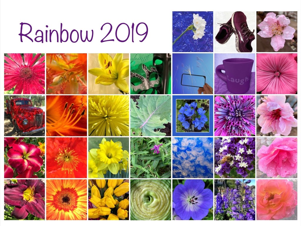 Finished Rainbow 2019 by shutterbug49
