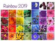 31st Mar 2019 - Finished Rainbow 2019