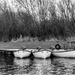 B & W Boats for hire - Loch Leven by frequentframes