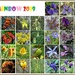 Rainbow Month Calendar by judithdeacon