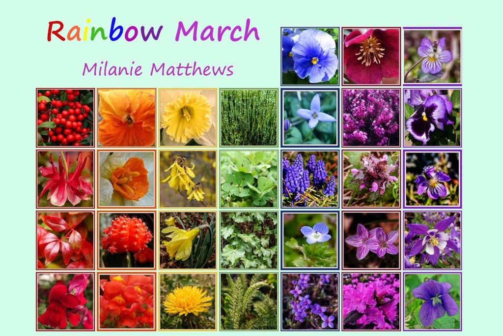 Rainbow March Calendar by milaniet