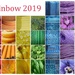 Rainbow 2019 by genealogygenie