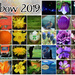 Rainbow 2019 Calendar by dsp2