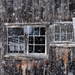 Window into the barn! by fayefaye
