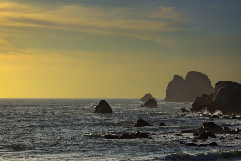 Northern California Coast, 2014 by swchappell