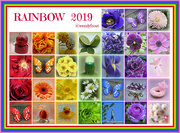 31st Mar 2019 - Rainbow 2019