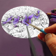 31st Mar 2019 - Painting violets